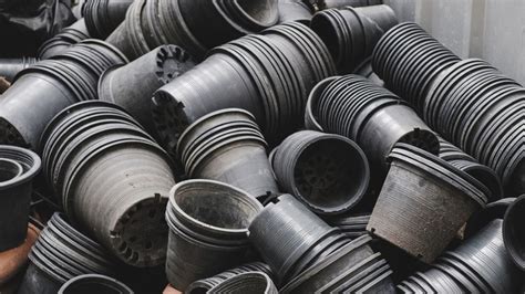 Does Plastic Attract Bugs