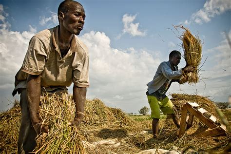 does poverty affect food security in haiti