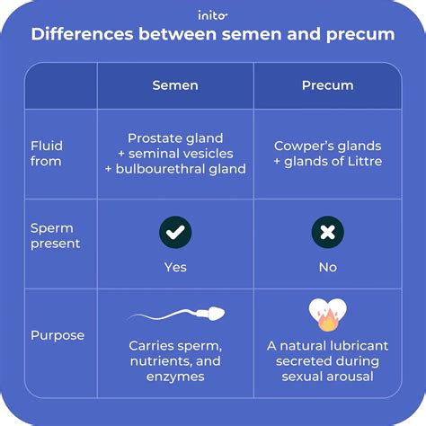 does precum is normal