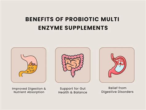 Does Probiotic Multi Enzyme Work For Weight Loss
