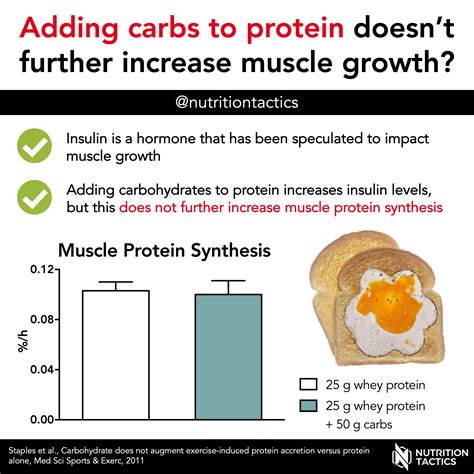 Does Protein Increase Insulin