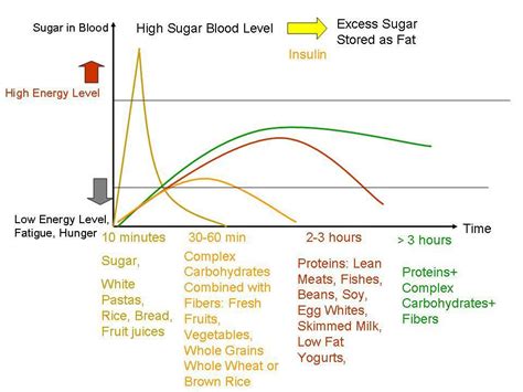 Does Protein Slow Sugar Absorption