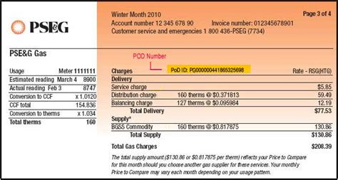 Does Pseg Include Gas