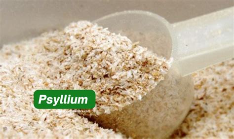 Does Psyllium Absorb Nutrients