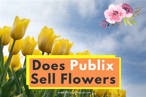 Does Publix Sell Flowers