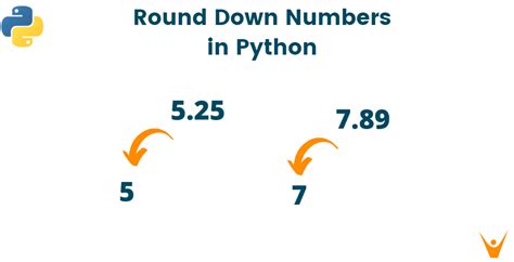 does python integer division round up or down