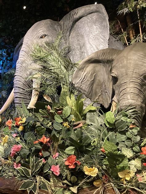 Does Rainforest Cafe Have Parking