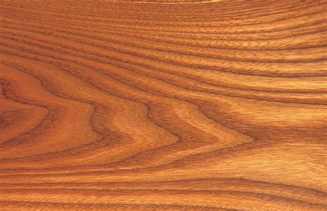 Does Red Elm Make Good Lumber