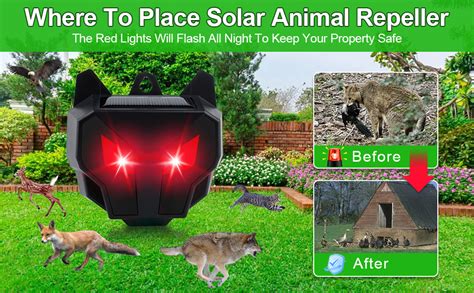 Does Red Light Scare Animals