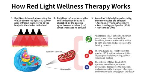 Does Red Light Therapy Help Glaucoma