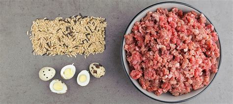 Does Rice Put Weight On Dogs