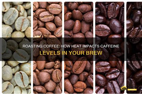 Does Roasting Coffee Beans Affect Caffeine Content
