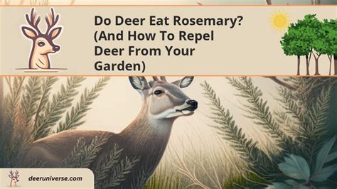 Does Rosemary Repel Deer