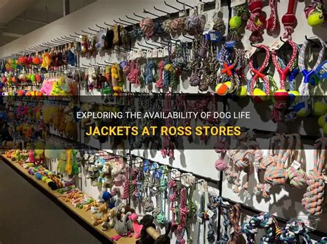 Does Ross Have Dog Clothes