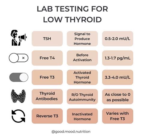 does routine blood work include thyroid