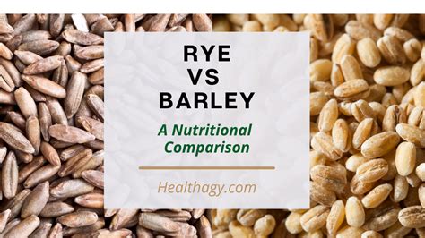 Does Rye Bread Have Barley