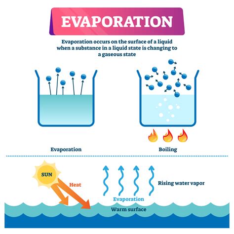 Does Salt Affect Evaporation