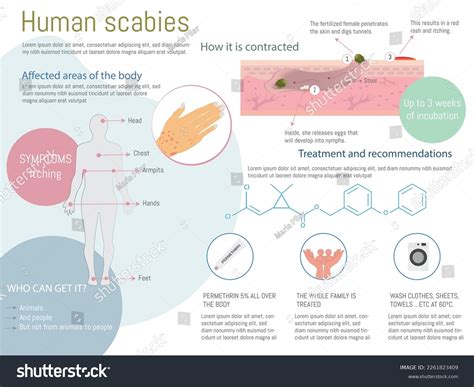 Does Scabies Spread Fast