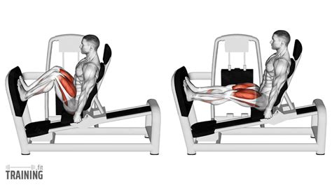 Does Seated Leg Press Work Abs