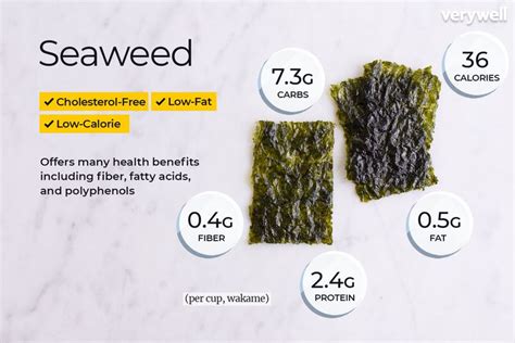 Does Seaweed Have Fat