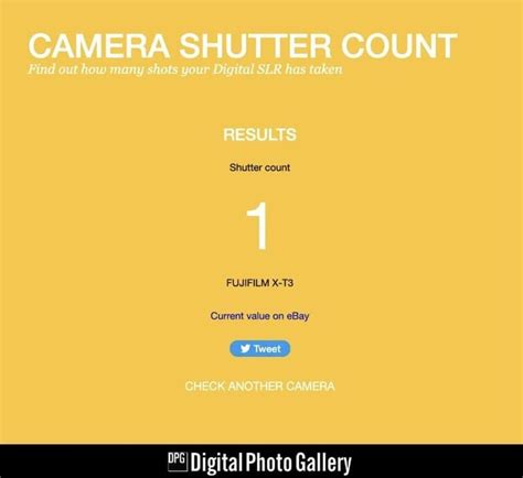 Does Shutter Replacement Reset Shutter Count