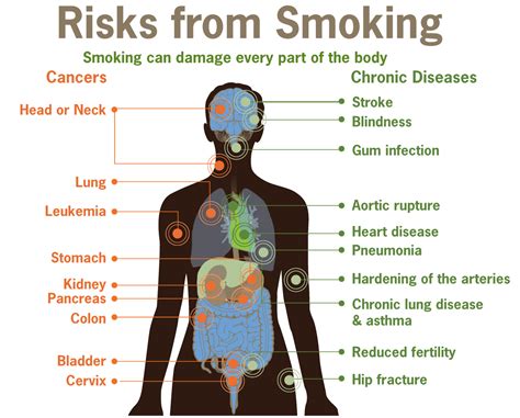 Does Smoking Occasionally Harm You