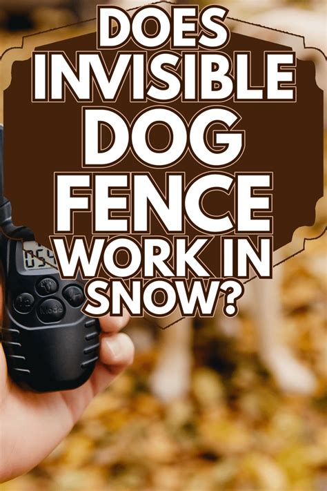 Does Snow Affect Invisible Fence