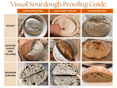 Does Sourdough Bread Constipate You