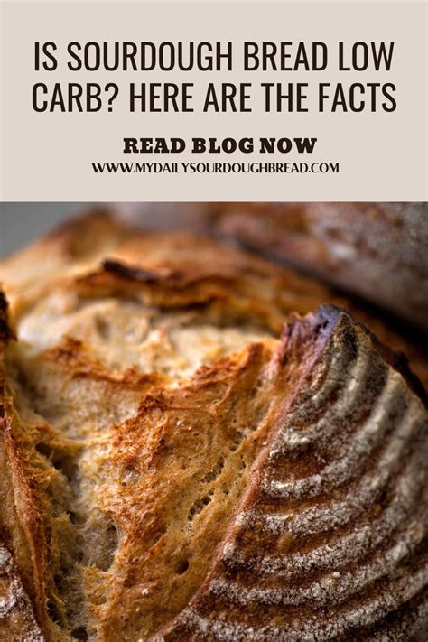 Does Sourdough Bread Have Less Carbs
