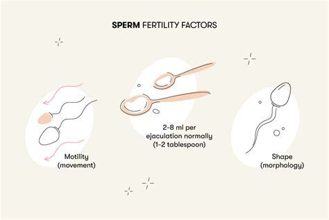 does sperm have gluten