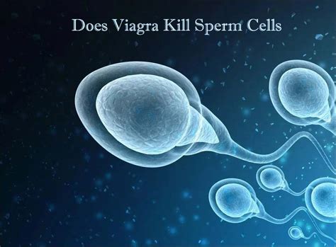 Does Sperm Kill Bacteria