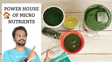 Does Spirulina Reverse Grey Hair