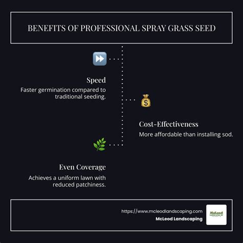 Does Spray On Grass Seed Really Work