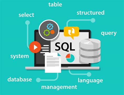 does sql is a programming language