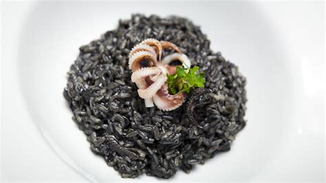 Does Squid Ink Have Calories