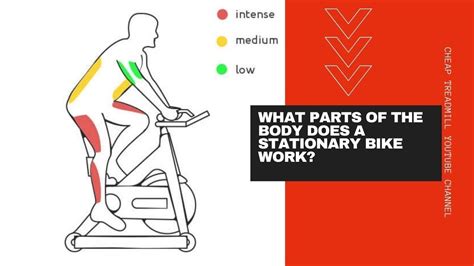 Does Stationary Bike Work Core
