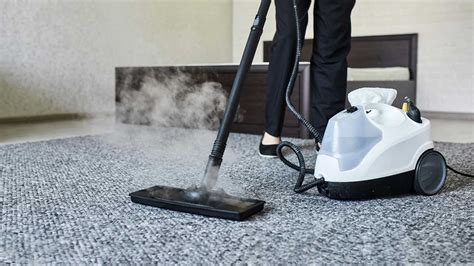 Does Steam Cleaning A Carpet Kill Fleas