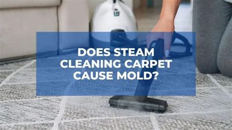 Does Steam Cleaning Carpets Cause Mold