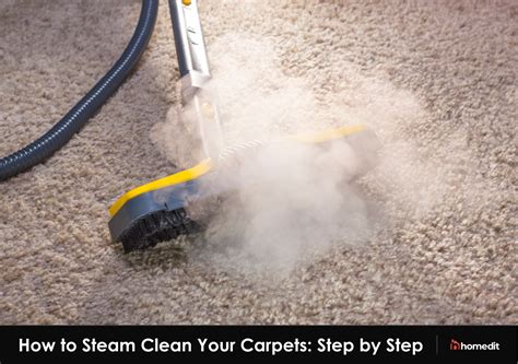 Does Steam Cleaning Carpets Kill Germs