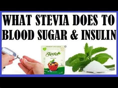 Does Stevia Leaf Extract Raise Insulin