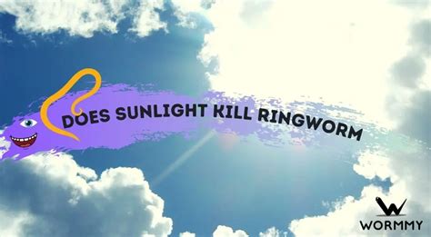 Does Sunlight Kill Ringworm On Humans
