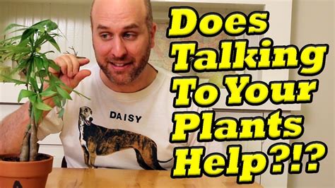 Does Talking To Plants Do Anything
