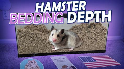 Does Target Have Hamster Bedding