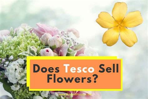 Does Tesco Sell Plants