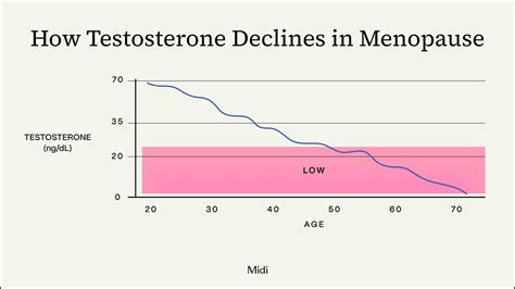 Does Testosterone Help With Menopause