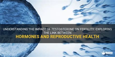 Does Testosterone Increase Fertility