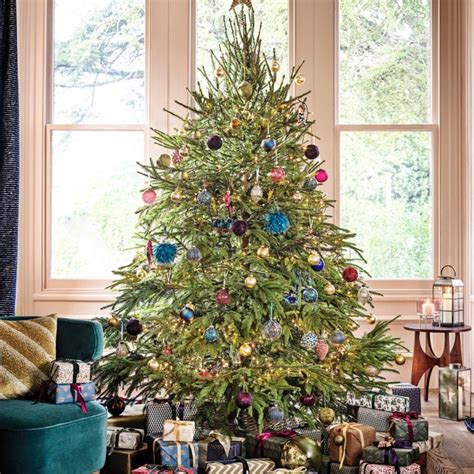 Does Texas Have Christmas Trees