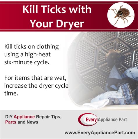 Does The Clothes Dryer Kill Ticks