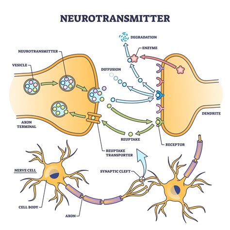 does the endocrine system communicate using neurotransmitters
