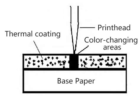 Does Thermal Paper Fade